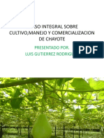 Curso Integral Sobre Cultivo, Manejo y Comercializacion de Chayote