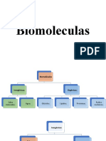 Biomoleculas