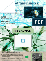 Neuronas y Neurotransmisores Semana 11 Biofisica PF