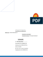 Rapport de Stage (Récupération Automatique)