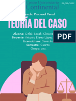 Teoría Del Caso