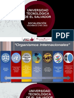 Medios Materiales de Las Organizaciones Internacionales