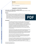 Organization and Segregation of Bacterial Chromosomes