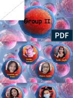 FILDIS Group-2