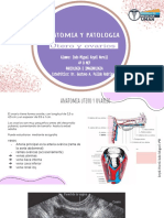 Exposicion3. Radiología