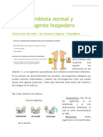CT3 PDF