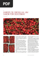 Xarope de Groselha -  Um Sabor Por Descobrir.