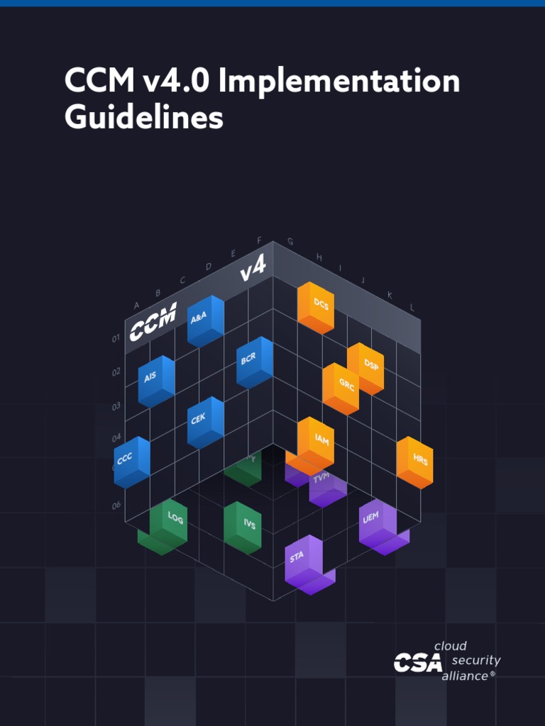 Ccm Implementation Guidelines