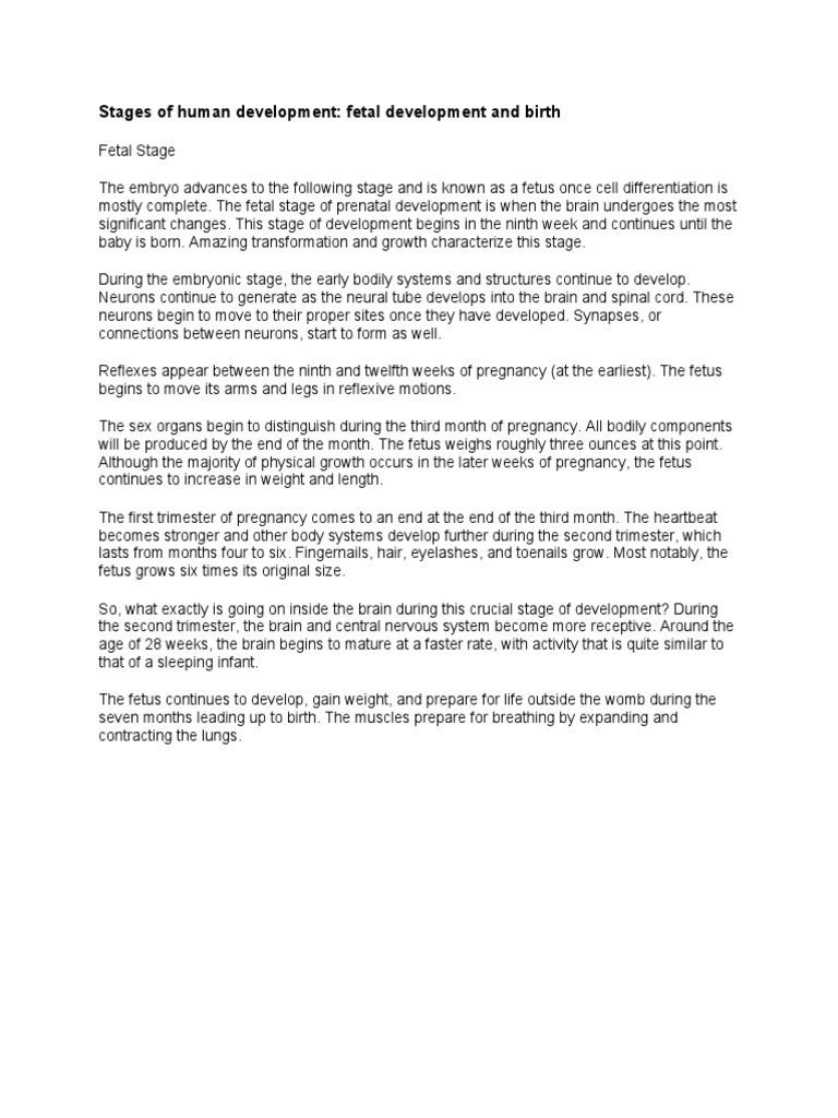 Stages of Human Development - Fetal Development and Birth | PDF