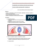 Guia Tp5 Embriologia 2017