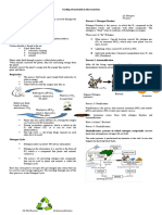 Cycling of Materials in The Ecosystem Handout