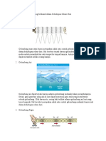 Contoh Penerapan Gelombang Mekanik