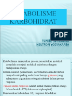 Katabolisme Karbohidrat