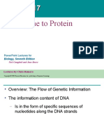 Chapter17 From Gene To Protein
