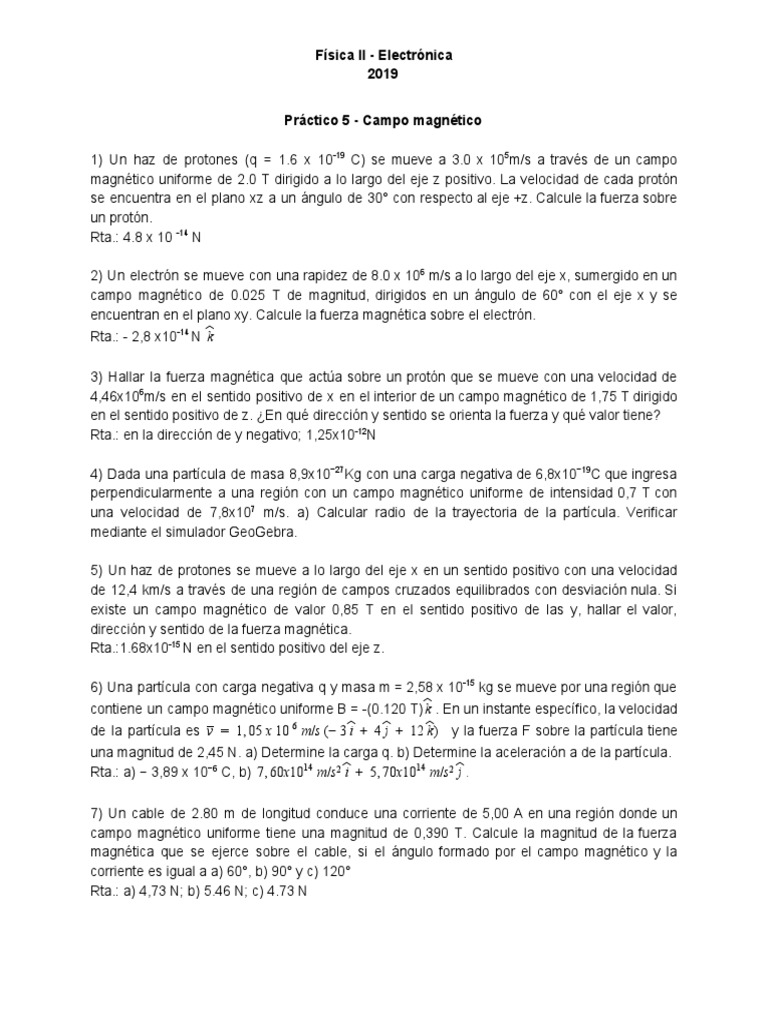 Práctico 5 - Campo Magnético | PDF | Corriente eléctrica | Campo magnético