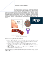 Imunisasi Dalam Kehamilan