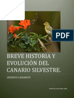 Canario Silvestre