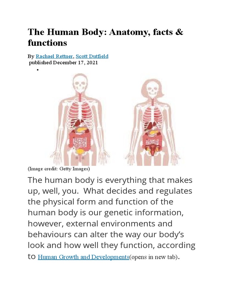 Index : Anatomy Of The Human Body .Pdf – AVXVI
