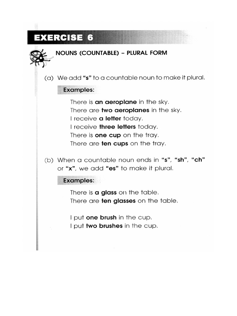 SINGULAR AND PLURAL Grade 1 | PDF