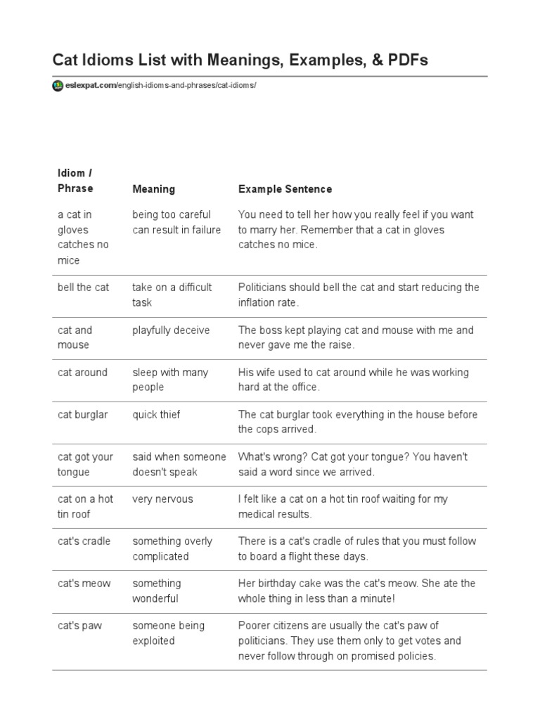 Cat Idioms List With Meanings, Examples, & PDFs PDF Cats