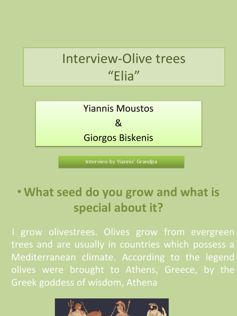 3 Top Greece InterviewOlive Trees PDF