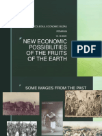 3 - Top - Romania - New Economic Possibilities of The Fruits of The Earth
