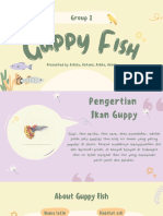 Guppy Fish Group 2