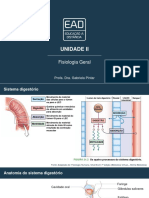 Slides de Aula - Unidade II