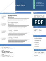 192 Modele CV Org