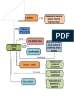 Ciclo de Krebs-Mapa Conceptual