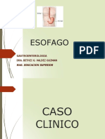 Modulo Esofago