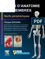 Atlas D'anatomie Des Membres - Nerfs Peripheriques by Philippe Rigoard PDF