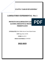 Proyecto Quimica Alcohol Naranja