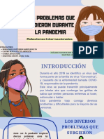 Los Problemas Que Se Dieron Durante La Pandemia