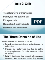 Cells and Organelles Overview