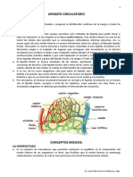 06 Anatomía Del Aparato Cardiocirculatorio Apuntes