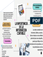 La Importancia de La Informacion Contanble