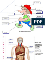 elcuerpohumano1.pptprimaria