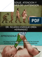 Aprendizaje, Atenciòn y Desòrdenes