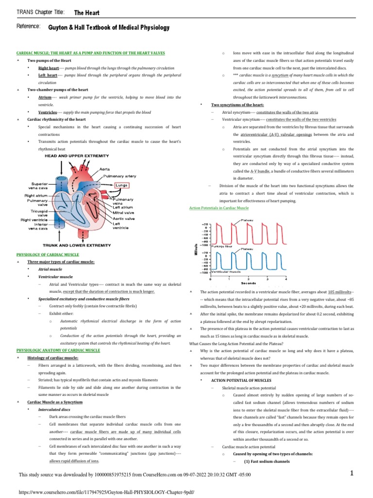 Guyton Hall Physiology Chapter 9 Pdf Pdf Heart Valve Ventricle