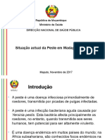 Apresentacao Da Epidemia Da Peste em Madagascar - 30102017