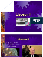 LIZOZOMI_CURSnew2