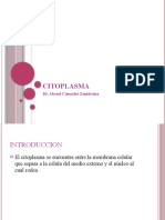 Citoplasma Sintesis de Proteinas