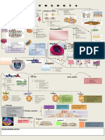 Infografía Final Pre-Oficial