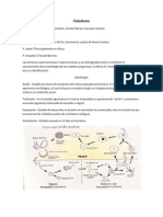 2do Parcial Parte de Pepe