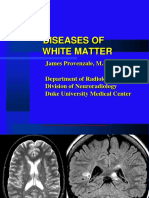 28 - White Matter Diseases