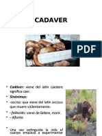 PDF Akupresur Compress