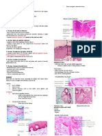 Integumentary System