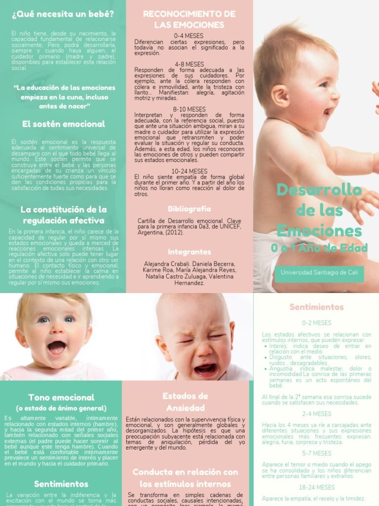 Desarrollo Emocional Bebés 0-1 Año | PDF | Las emociones | Ira