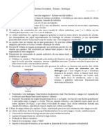 Sistema Circulatório Resumo